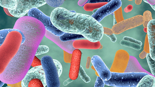 Подробнее о статье Как микробы управляют нашей энергией — новости медицины