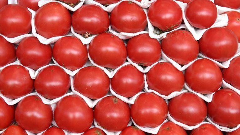 Вы сейчас просматриваете В Минсельхозе назвали причину подорожания томатов и огурцов — Новости Mail.ru