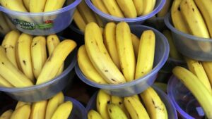 Подробнее о статье В Эквадоре нашли пути сбыта не проданных России бананов — Финансы Mail.ru