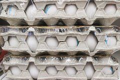 Подробнее о статье В российском регионе нашли огромную свалку куриных яиц